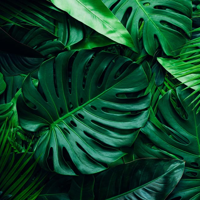 Hypnose massage thérapeutique relaxant reiki Lausanne